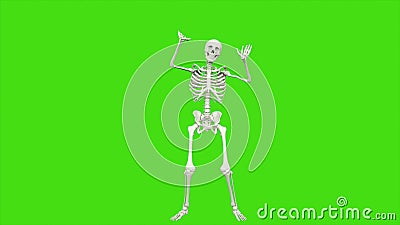Skeleton Dancing  Seamless Loop Animation On Green  Screen  