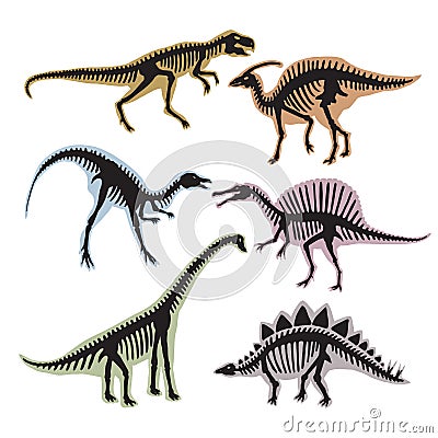 Skeleton of dinosaurs. Vector silhouette of tyrannosaurus, diplodocus and others wild animals Vector Illustration