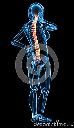 Skeleton Of Female With Back Pain Royalty Free Stock Image - Image: 24890516