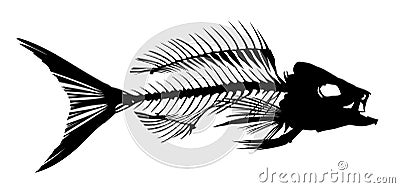 Skeleton of fish. Vector Illustration