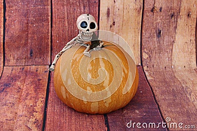 SKELETON FUNNY LAUGHING RISEN UP A PUMPKIN WITH WOODEN BOARDS BACKGROUND Stock Photo