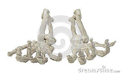 Skeleton Hands Reaching Toward You Stock Photo