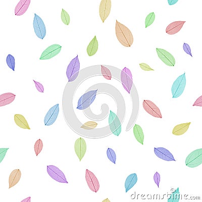 Skeleton Leaves Pattern Stock Photo