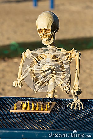 Skeleton playing chess on a picnic bench Stock Photo