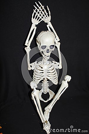 Skeleton poses, halloween, Stock Photo