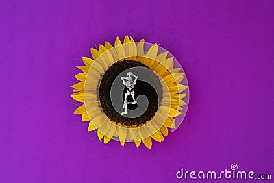 Skeleton in Repose on Sunflower With Purple Background Stock Photo