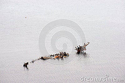 Skeleton ship in the sea Stock Photo