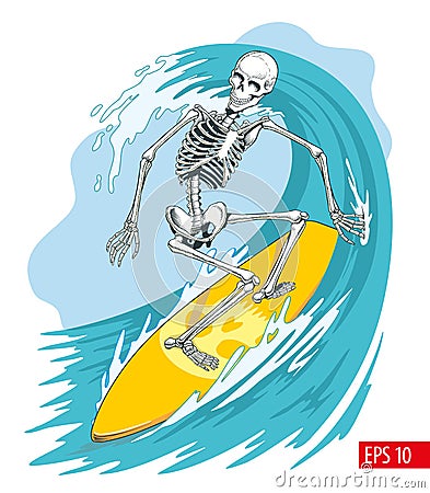 Skeleton surfer on the board ride the wave. Vector illustration Cartoon Illustration