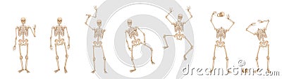 Skeleton Walking Jumping Greeting Scaring Halloween Poses Vector Illustration
