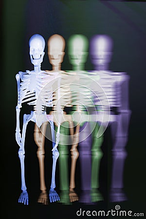 Skeletons Stock Photo