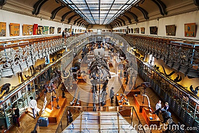 Skeletons of animals in the Gallery of Palaeontology and Comparative Anatomy in Paris Editorial Stock Photo