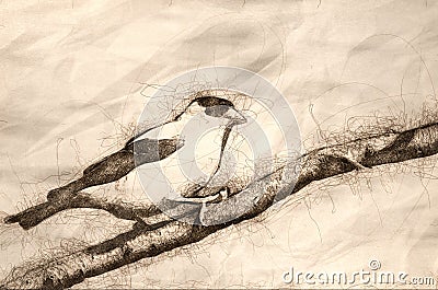 Sketch of American Goldfinch Perched on a Branch Stock Photo