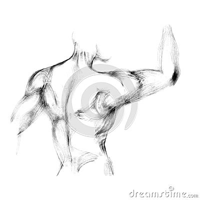 Sketch of athletic man back Vector Illustration