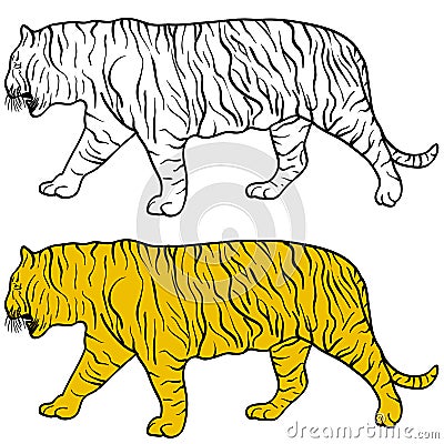 Sketch beautiful tiger on a white background. Vector illustration Vector Illustration