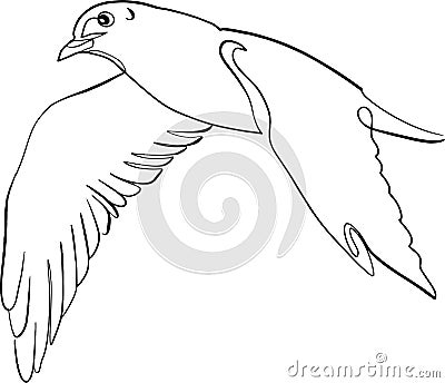 Sketch of a bird, seagull flight Vector Illustration