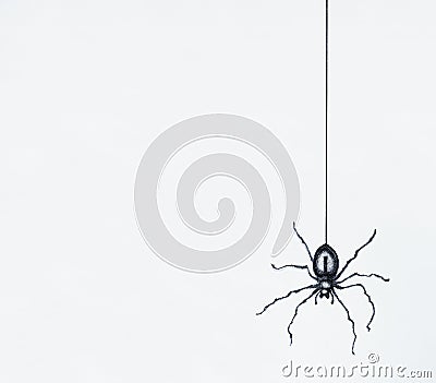 Sketch of a black spider drawn in black china dangling Stock Photo