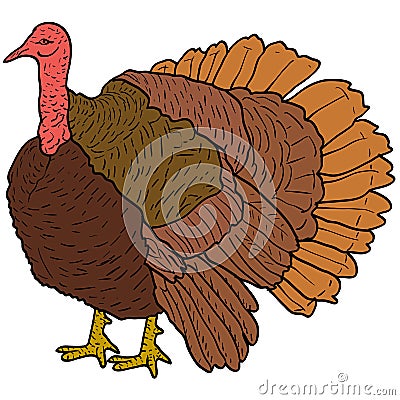 Sketch black turkey on a white background. Vector illustration. Vector Illustration