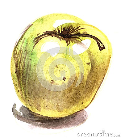 Sketch of A brilliant ripe yellow apple. Real watercolor. hand d Cartoon Illustration