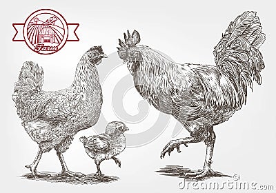 Sketch of brood-hen Vector Illustration