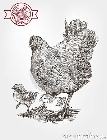 Sketch of brood-hen Vector Illustration