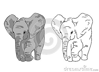 Baby elephant sketches on white background. Set of simple drawing of elephant. Vector Illustration