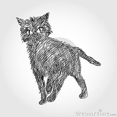 Sketch cat Vector Illustration