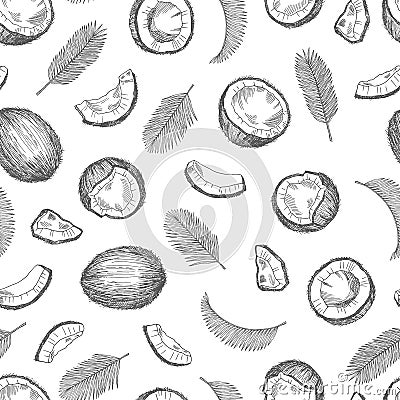 Sketch coconut pattern. Exotic food seamless texture. Palm leaves vector background Vector Illustration