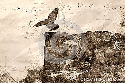 Sketch of a Common Black Raven Landing on the Rocky Canyon Ledge Stock Photo