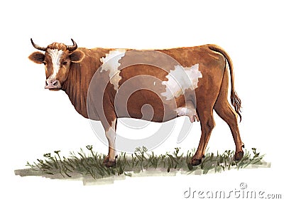 Sketch of cow drawn by hand. livestock. cattle. animal grazing Stock Photo
