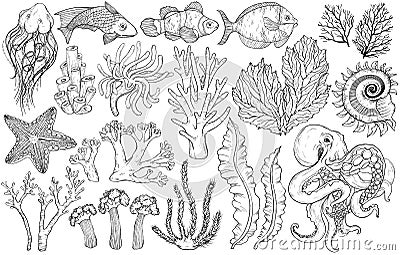 Sketch of deepwater living organisms, fish and algae. Black and white Vector Illustration