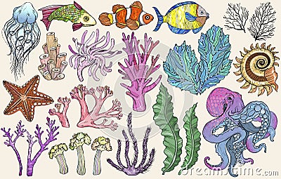 Sketch of deepwater living organisms, fish and algae Vector Illustration