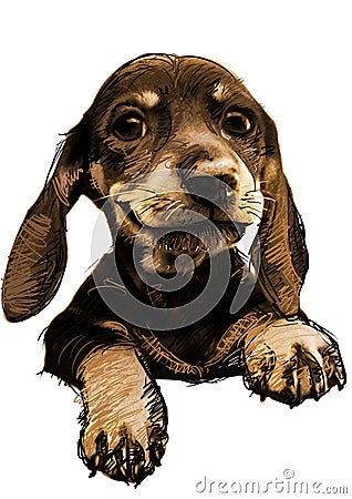 Sketch dog in simple background Cartoon Illustration