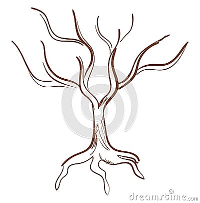 Sketch drawing of the tree in brown color, vector or color illustration Vector Illustration