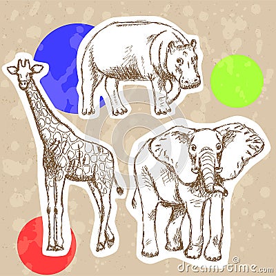 Sketch elephant, giraffe and hippo, vector background Vector Illustration