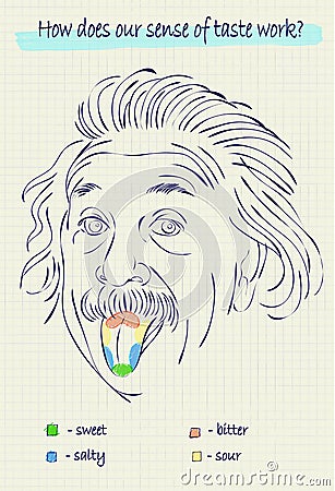 Sketch of the face of elderly scientist with the language, divid Vector Illustration