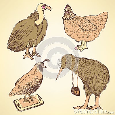 Sketch fancy birds in vintage style Vector Illustration