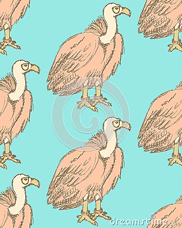 Sketch fancy vulture in vintage style Vector Illustration