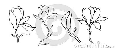 Sketch floral botany collection. Magnolia flower drawings. Modern single line art, aesthetic contour. Black and white with line a Vector Illustration