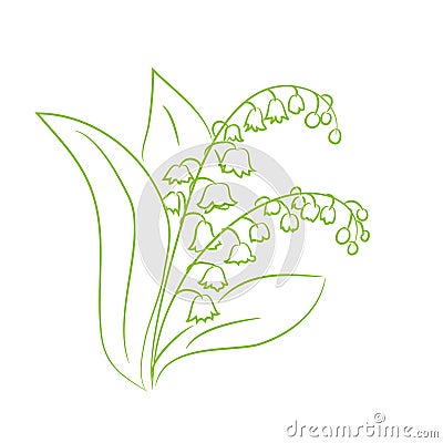 Sketch of a flower lily of the valley Vector Illustration