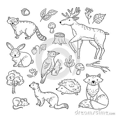 Sketch forest animals. Woodland cute baby animal raccoon elk hare woodpecker hedgehog marten fox children doodle vector Vector Illustration