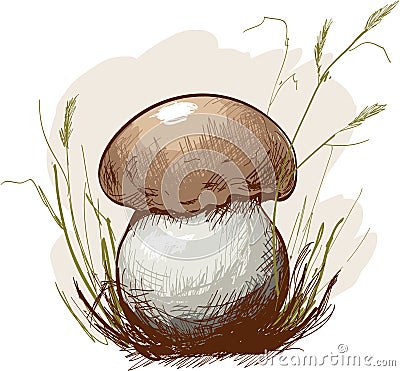 Sketch forest mushroom in the grass. Vector Illustration