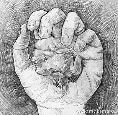Sketch of a frog in hand Stock Photo