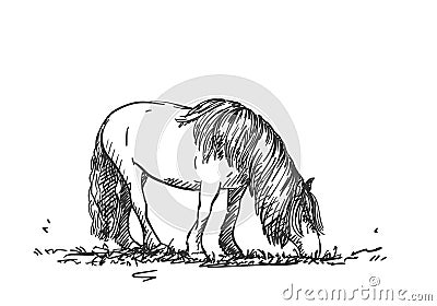 Sketch of grazing horse with long mane Vector Illustration