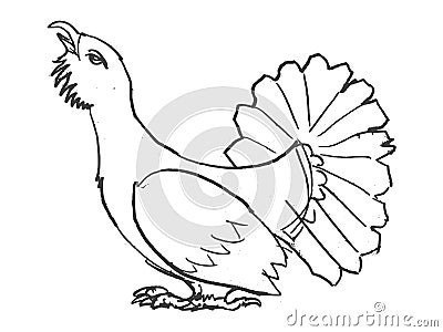 Sketch of grouse bird Cartoon Illustration