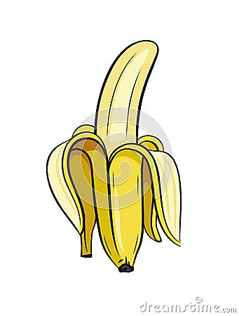 Sketch of half peeled banana Vector Illustration