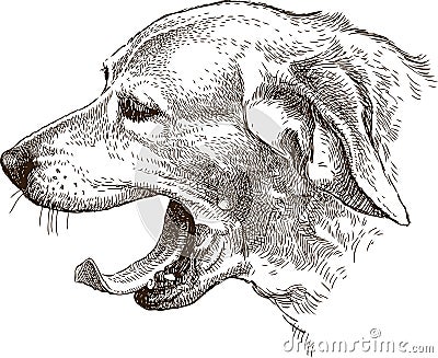 The sketch of the head of the yawning dog Vector Illustration