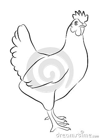 Sketch of Hen Vector Illustration