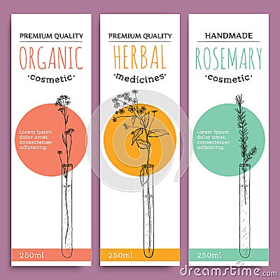 Sketch herbal vertical banners with organic herbs rosemary valuable for human health vector illustration Vector Illustration