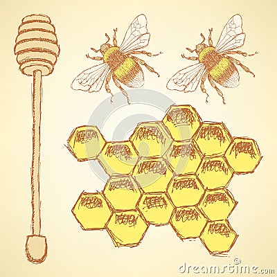 Sketch honey cells, stick and bee in vintage style Vector Illustration