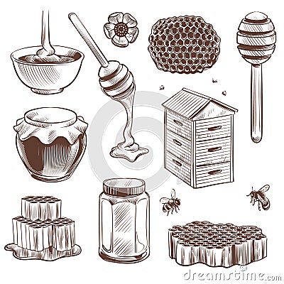 Sketch honey. Engraved natural organic sweet food honey, pollen and beeswax, hive bee. Beekeeping vintage hand drawn Vector Illustration